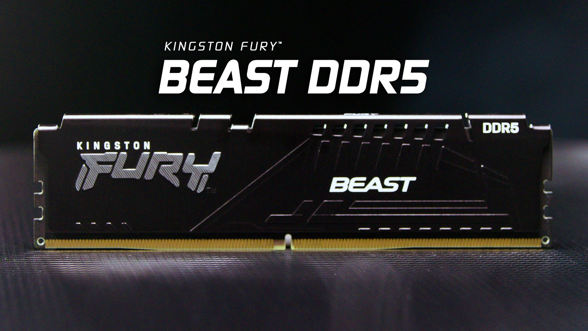 Beast DDR5 EXPO Desktop Memory
