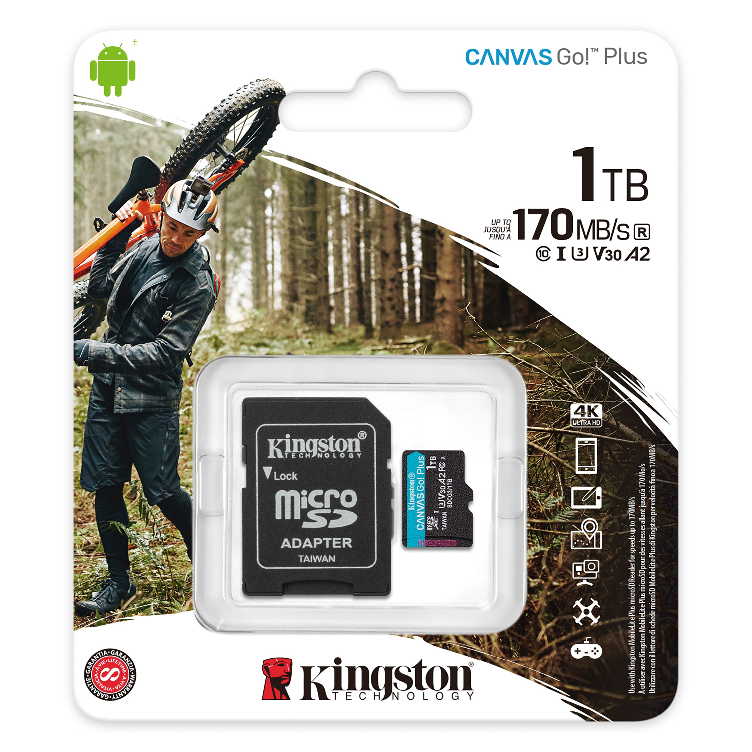Kingston Canvas Go Plus microSD Memory Card | V30 Speed for 4K