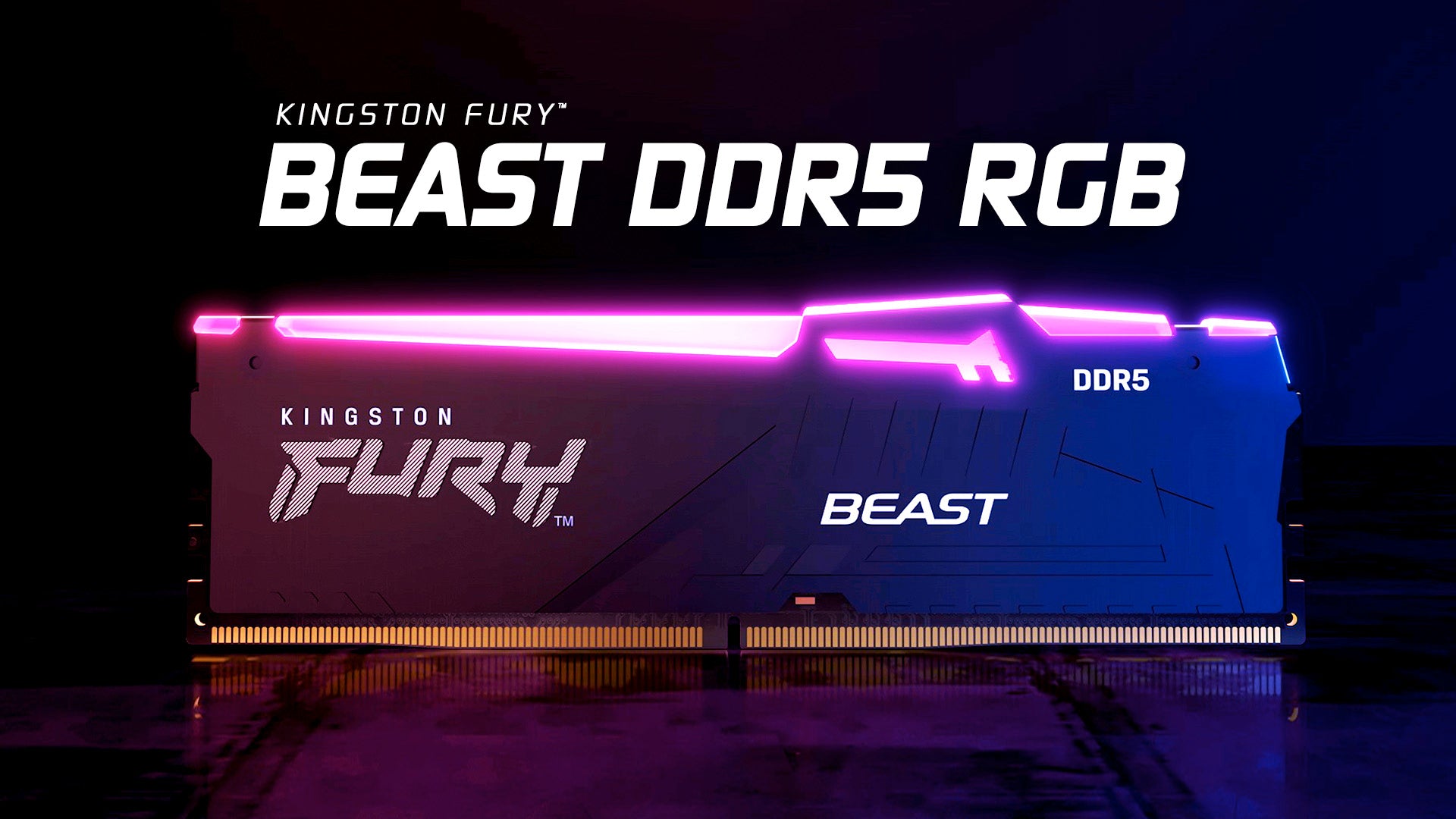 Kingston FURY™ Beast DDR5 RGB XMP Memory | Next-Gen Performance