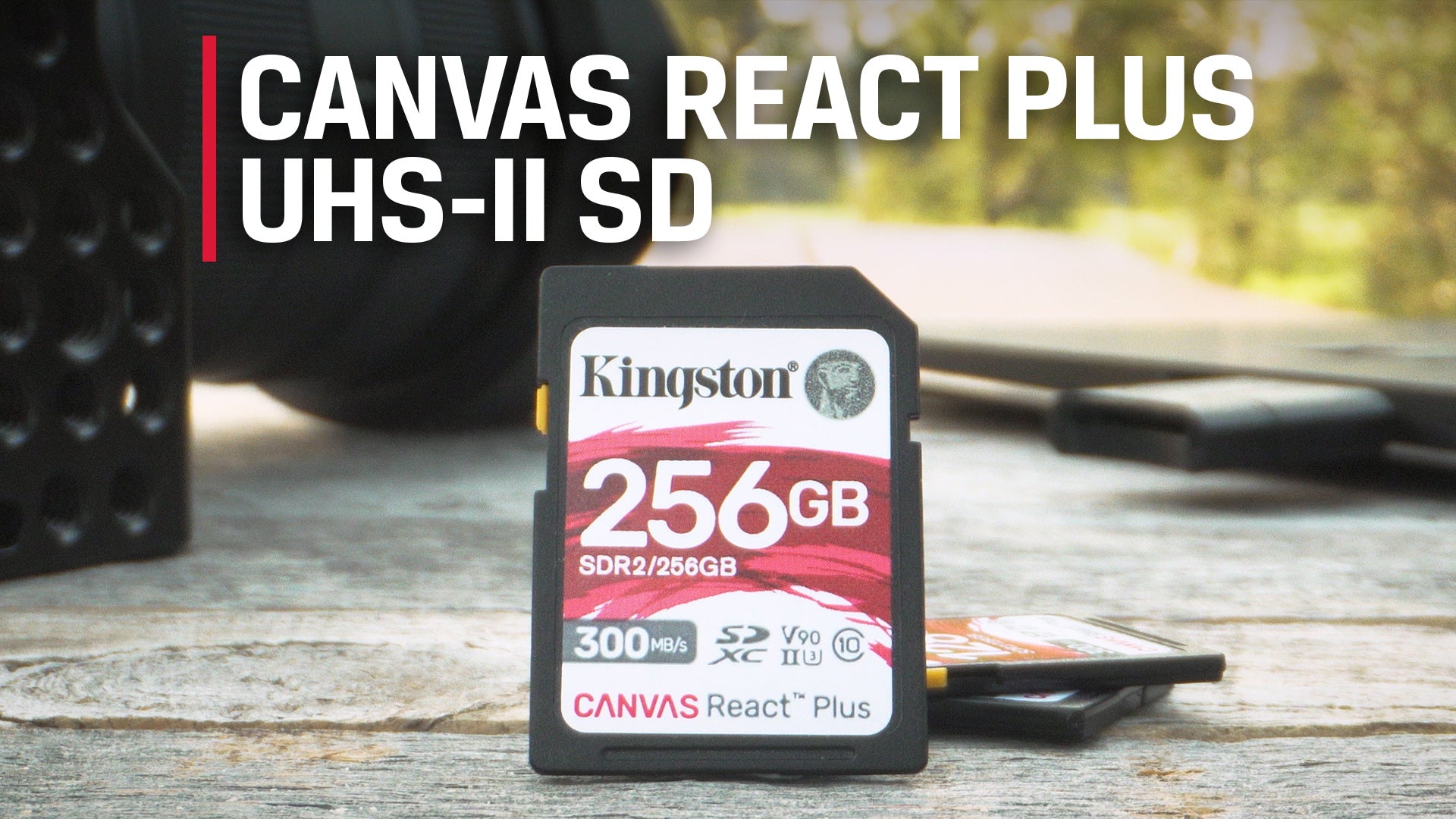 Canvas React Plus SD Memory Card