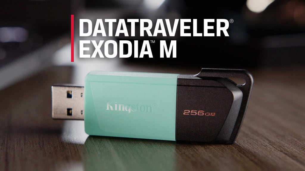 OMEGA TECH S.A. - Kingston - MEMORIA USB 64GB, DATA TRAVELER EXODIA  (DTX/32GB)