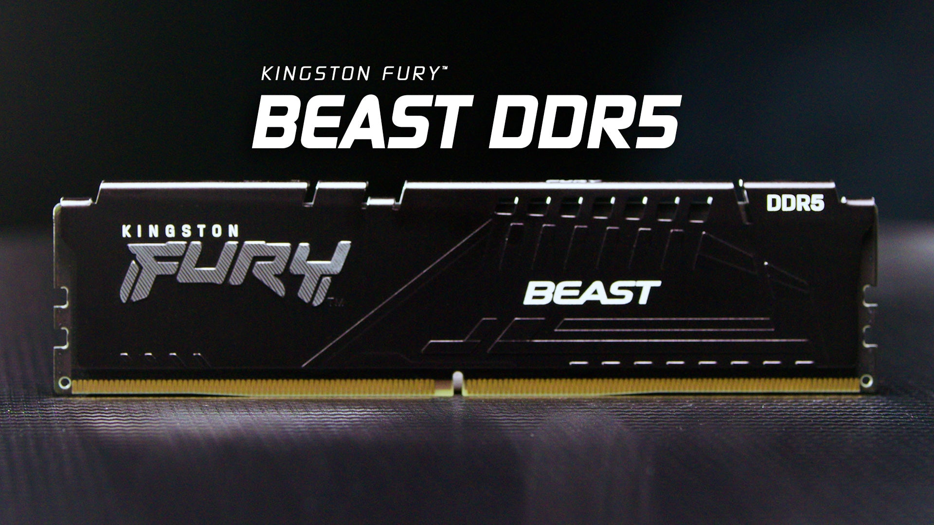 Beast DDR5 XMP Desktop Memory