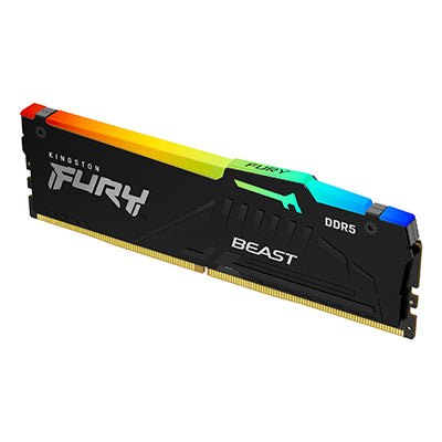 Kingston FURY™ Beast DDR5 RGB XMP Memory | Next-Gen Performance 