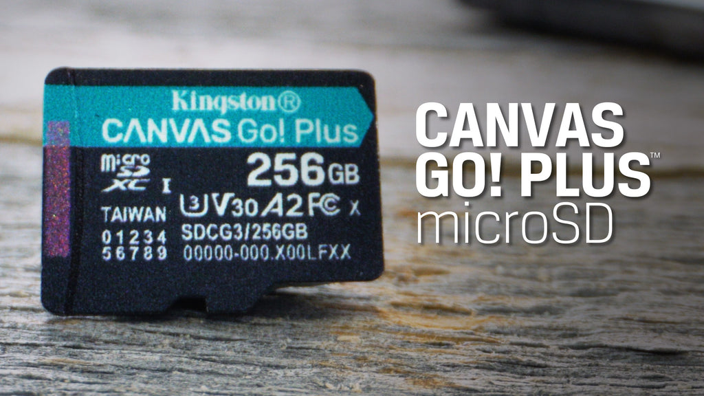 Kingston 256GB microSDXC Canvas Go Plus 170MB/s Read UHS-I, C10, U3, V30,  A2/A1 Memory Card + Adapter (SDCG3/256GB)