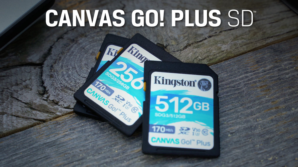 Kingston Canvas Go! Plus Class 10 SD Cards  UHS-I, U3, V30 - 64GB-512GB – Kingston  Technology