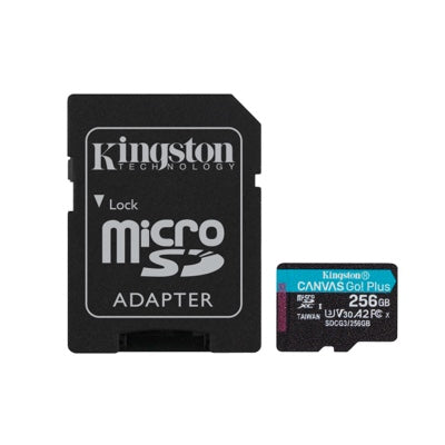 Kingston 256GB SDXC Canvas Go Plus 170MB/s Read UHS-I, C10, U3, V30 Memory  Card (SDG3/256GB)